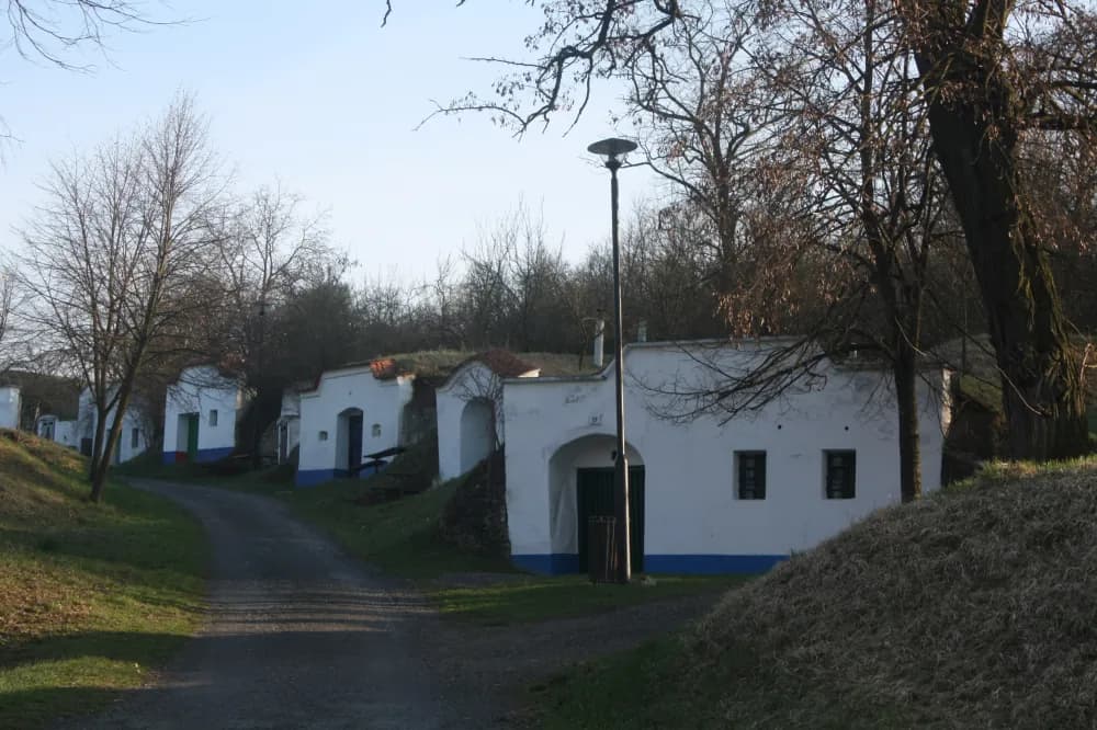 Tradiční vinné sklepy Plže na Slovácku